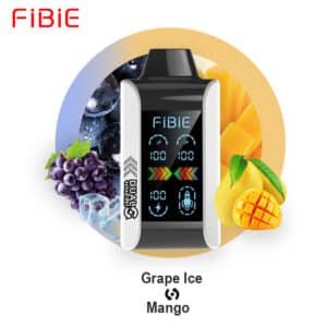 FIBIE MANGO & GRAPE ICE 15K PUFFS 50MG